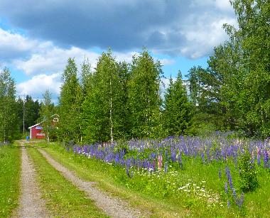 Ferienhaus in Jokela (Etela-Suomen Laani) oder Ferienwohnung oder Ferienhaus