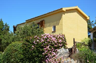 Seitenansicht auf Villa Daniela bei bl�henden Geranien im Sommer