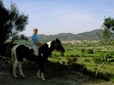 Blick von der KINDERFREI gef�hrten FincaOase-Can Negre in Son Macia auf Mallorca