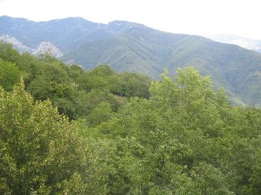 Ferienhaus in Correglia Antelminelli (Lucca) oder Ferienwohnung oder Ferienhaus