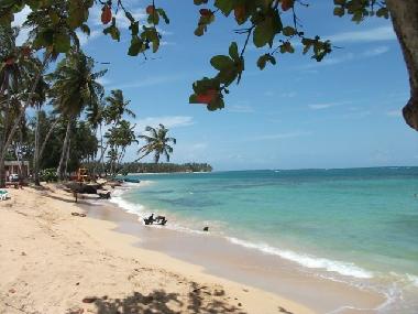 Villa in Las Terrenas (Samana) oder Ferienwohnung oder Ferienhaus