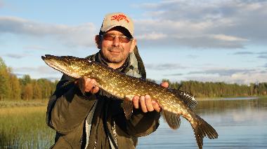 Ferienhaus in Gargn�s (V�sterbotten) oder Ferienwohnung oder Ferienhaus