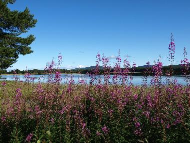 Ferienhaus in Gargn�s (V�sterbotten) oder Ferienwohnung oder Ferienhaus