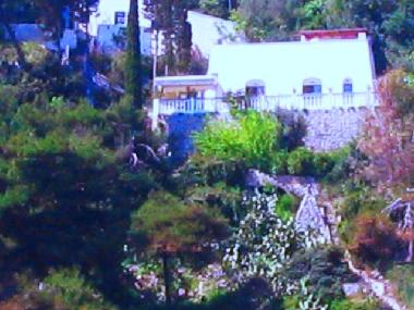 Villa in tricase (Lecce) oder Ferienwohnung oder Ferienhaus