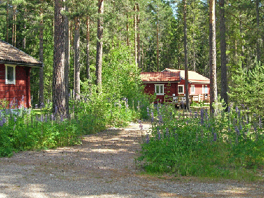 Ferienhaus in Sifferbo (Dalarna) oder Ferienwohnung oder Ferienhaus