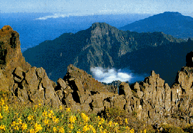 Roque de los Muchachos - 2400 m