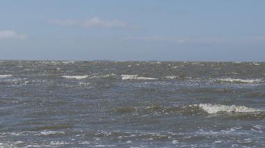 Im Hintergrund die Insel Neuwerk