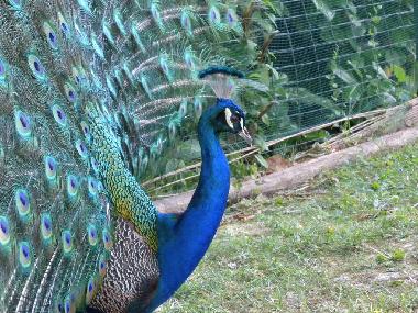Ferienwohnung in MOASCA (Asti) oder Ferienwohnung oder Ferienhaus