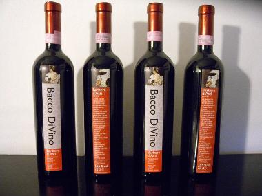 Ferienwohnung in MOASCA (Asti) oder Ferienwohnung oder Ferienhaus