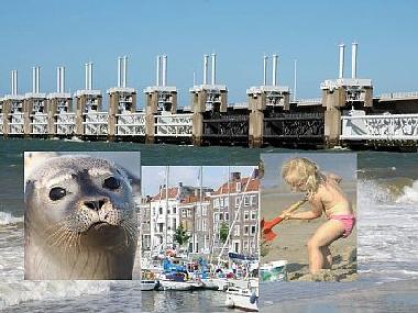 Umgebung: Sperrdamm (hintergrund), Seehund, Veere und Kind am Strand