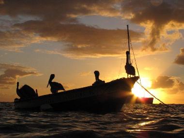 Sonnenuntergang mit Pelikan