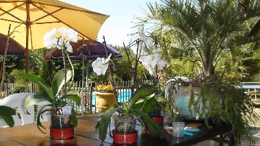 Ferienhaus in font vayssere (Dordogne) oder Ferienwohnung oder Ferienhaus