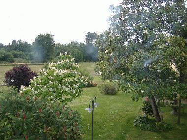 Ferienhaus in Orentano (Pisa) oder Ferienwohnung oder Ferienhaus