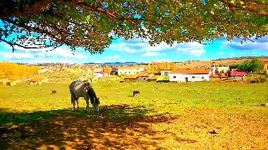 Ferienhaus in Terriente (Teruel) oder Ferienwohnung oder Ferienhaus