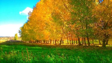 Ferienhaus in Terriente (Teruel) oder Ferienwohnung oder Ferienhaus