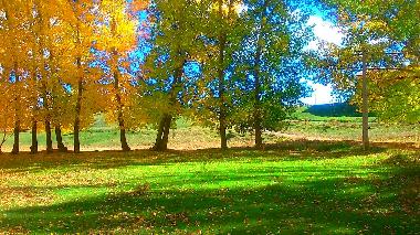 Ferienhaus in Terriente (Teruel) oder Ferienwohnung oder Ferienhaus