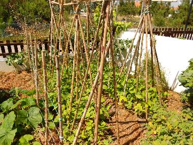 Ferienhaus in P�voa de Penafirme (Grande Lisboa) oder Ferienwohnung oder Ferienhaus