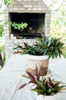 Ferienhaus in Costa Rica (Puntarenas) oder Ferienwohnung oder Ferienhaus