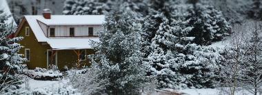 Das Ferienhaus umgeben von Wald