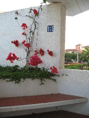 Pension in  (Algarve) oder Ferienwohnung oder Ferienhaus
