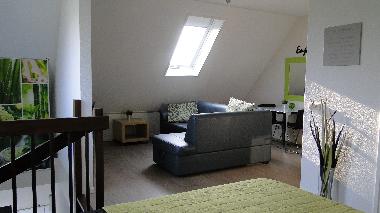 Ferienwohnung in Dishoek (Zeeland) oder Ferienwohnung oder Ferienhaus
