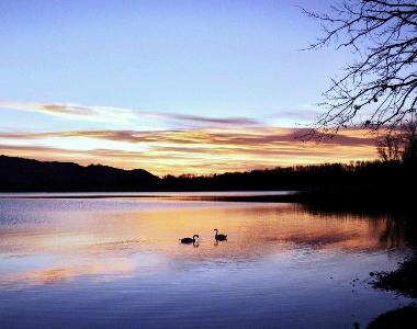 Villa in Eupilio  (Como) oder Ferienwohnung oder Ferienhaus