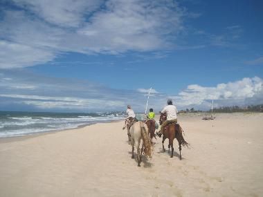 Horse-riding on the beach