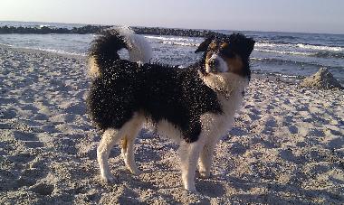 Herrlich- so am Strand