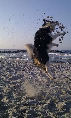 Luftsprung vor Freude