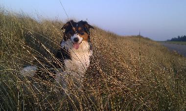 Erholung in den Dnen
