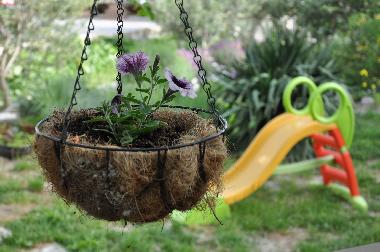 Ferienhaus in Duce (Splitsko-Dalmatinska) oder Ferienwohnung oder Ferienhaus