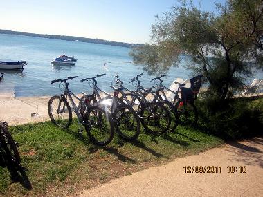 Ferienwohnung in Novigrad (Istarska) oder Ferienwohnung oder Ferienhaus