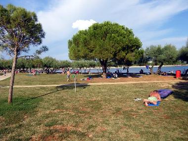 Ferienwohnung in Novigrad (Istarska) oder Ferienwohnung oder Ferienhaus