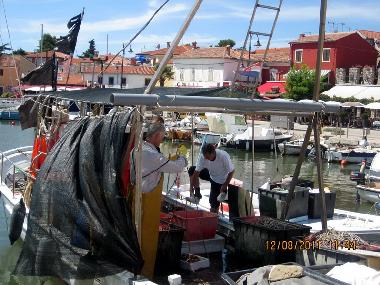 Ferienwohnung in Novigrad (Istarska) oder Ferienwohnung oder Ferienhaus