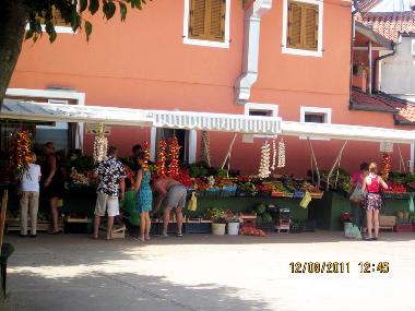 Ferienwohnung in Novigrad (Istarska) oder Ferienwohnung oder Ferienhaus