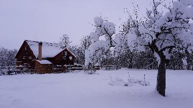 Chalet in Vistisoara (Brasov) oder Ferienwohnung oder Ferienhaus