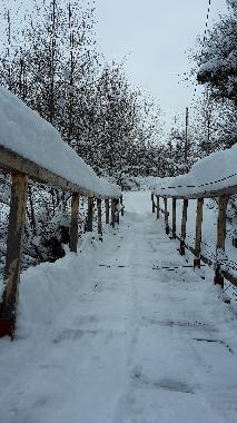 Chalet in Vistisoara (Brasov) oder Ferienwohnung oder Ferienhaus