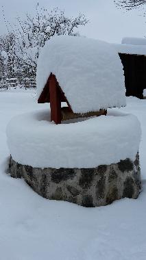 Chalet in Vistisoara (Brasov) oder Ferienwohnung oder Ferienhaus