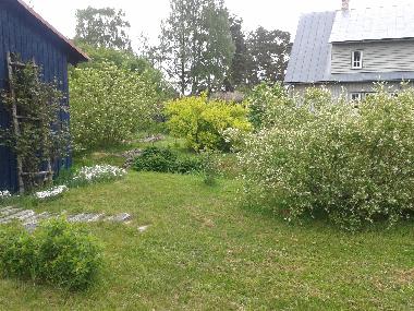 Ferienwohnung in Upesgriva (Lettland) oder Ferienwohnung oder Ferienhaus