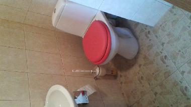 Ferienwohnung in Upesgriva (Lettland) oder Ferienwohnung oder Ferienhaus