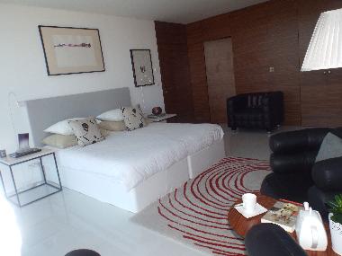 Ferienhaus in viseu (Beira Interior Norte) oder Ferienwohnung oder Ferienhaus