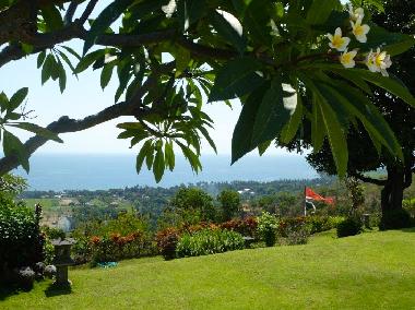 Villa in Temukus / Lovina (Bali) oder Ferienwohnung oder Ferienhaus