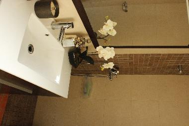 Ferienhaus in Raiva, Castelo de Paiva (Norte) oder Ferienwohnung oder Ferienhaus