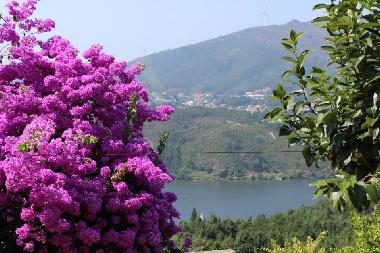 Ferienhaus in Raiva, Castelo de Paiva (Norte) oder Ferienwohnung oder Ferienhaus