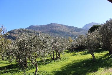 Ferienhaus in Torretta (Palermo) oder Ferienwohnung oder Ferienhaus