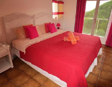 Ferienhaus in ST BARTHELEMY (Guadeloupe) oder Ferienwohnung oder Ferienhaus