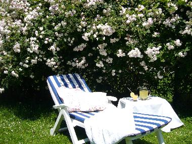 Lauschige Liegepl�tze