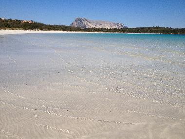 Ferienhaus in San Teodoro (Olbia-Tempio) oder Ferienwohnung oder Ferienhaus