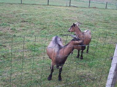 Ferienhaus in criquetot l esneval (Seine-Maritime) oder Ferienwohnung oder Ferienhaus