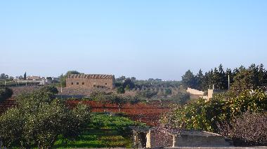Blick aus dem Fenster